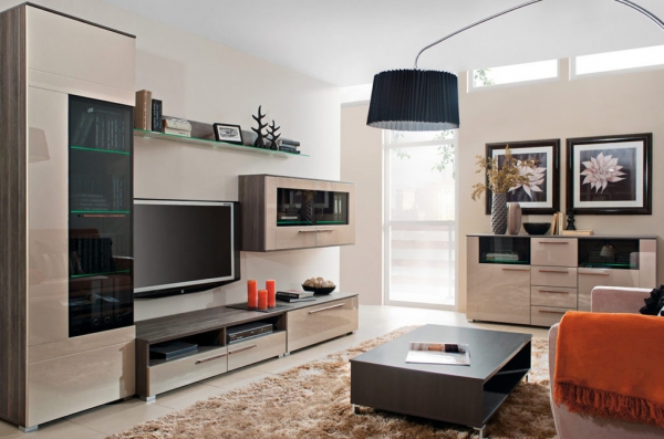 Модульная мебель для современной гостиной